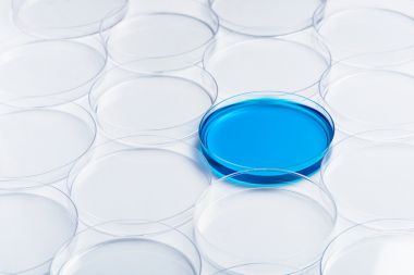 小鼠神經調節蛋白4(NRG-4)elisa試劑盒
